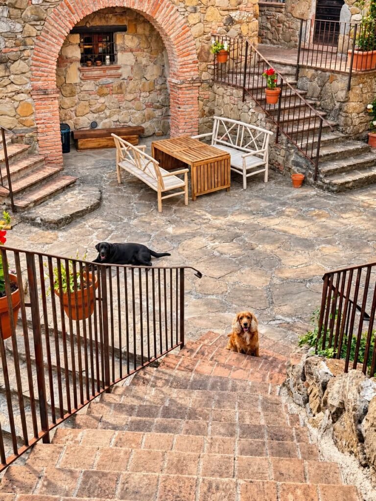 Cortile con scalini in pietra e panchina nell'appartamento La Casa Nobile, Borgo Braila, Umbria